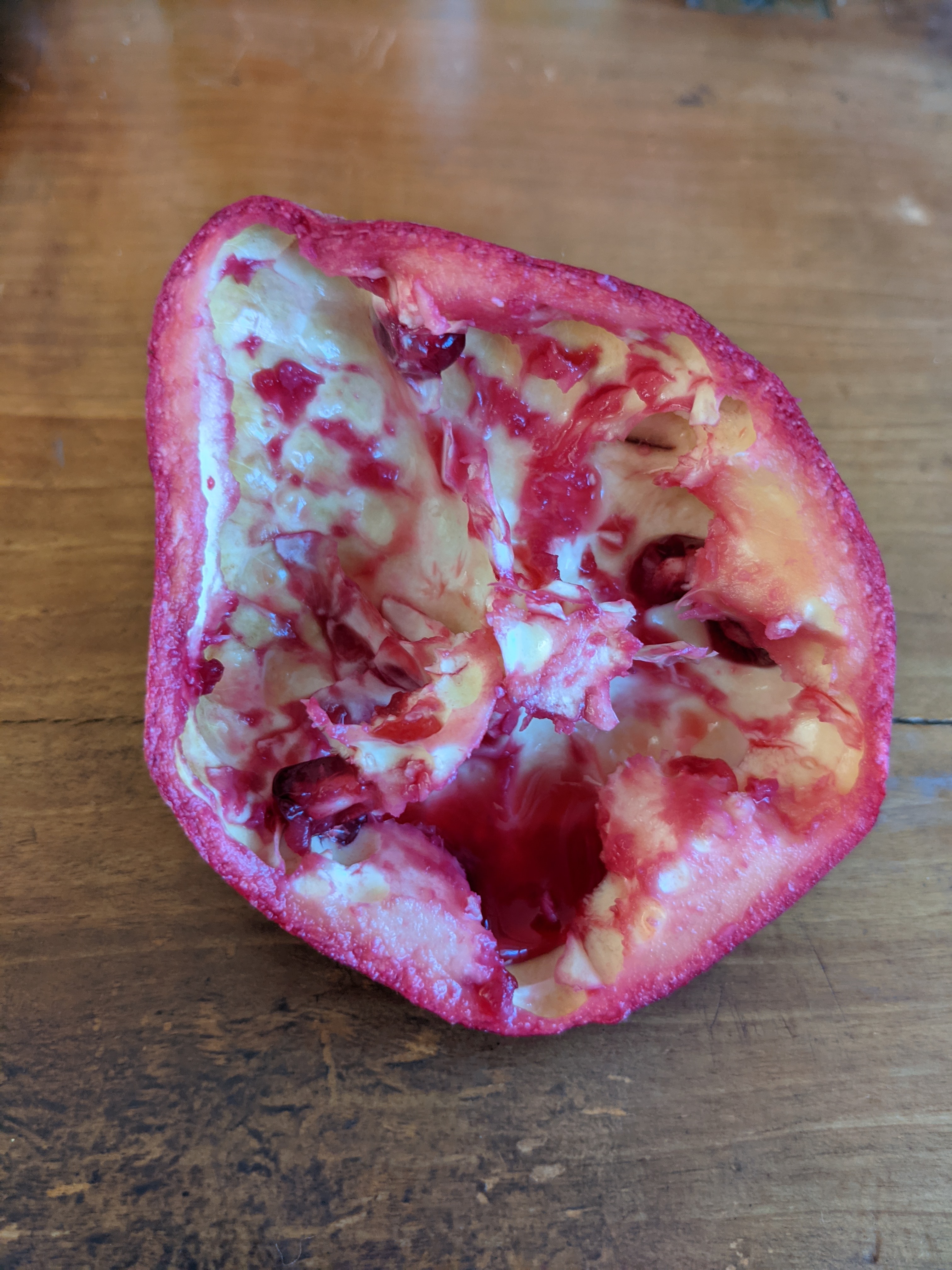 A hollowed out pomegranate, with a pool of red-pink juice at the bottom of the skin.